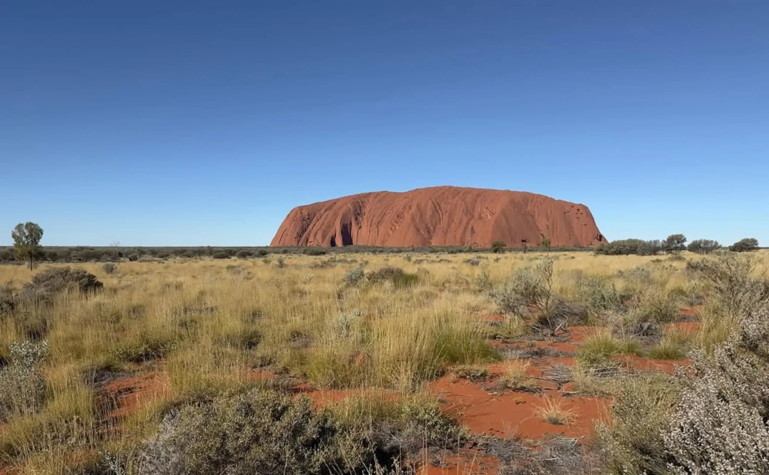 How Many People Have Fallen from Uluru? Facts & Safety