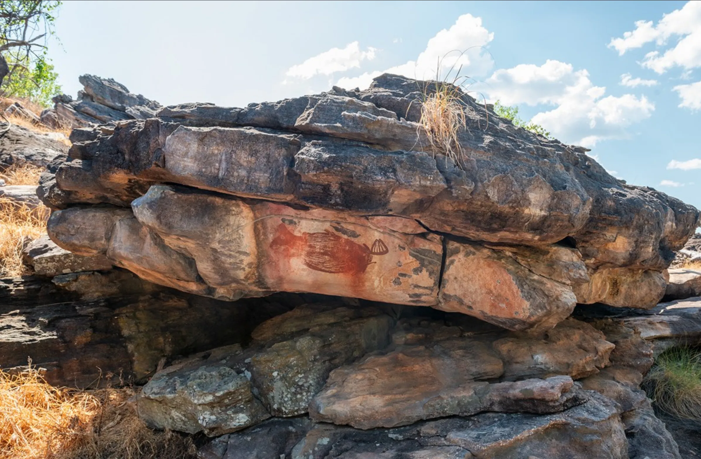 How old is Kakadu
